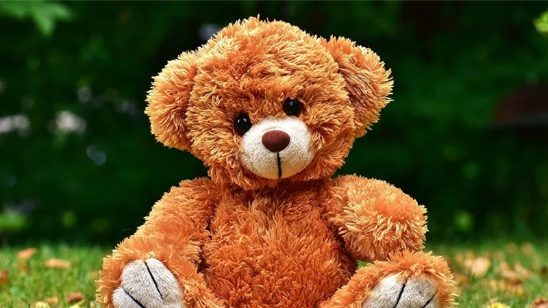 امرأة تستعين بلعبة أطفال للتجسس على زوجها السابق.. صورة