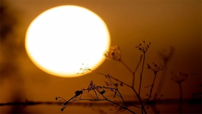 خبير يقيم المشروع الصيني بشأن الشمس الصناعية