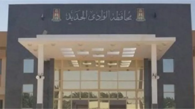 القوي العاملة تنفذ دورات تدريبية للحفاظ على الحرف اليدوية بالوادى الجديد.