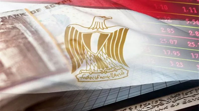 «هارفارد»: الاقتصاد المصري ينمو سنوياً بمتوسط 6.8% حتى 2027