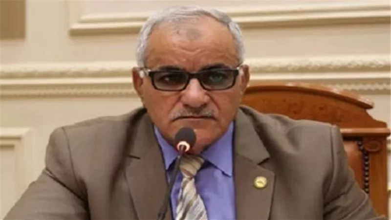 الحسيني: نصوص انتخابات المحليات بالقانون الجديد منقولة من الدستور