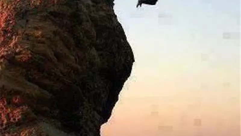 حكاية غريبة وراء كلمة