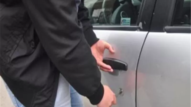 سقوط مسجل القطامية وصديقه لتكوينهما تشكيل عصابى لسرقة السيارات