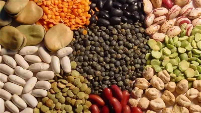 أسعار البقوليات اليوم السبت 28-12-2019.. الفول بـ34 جنيها