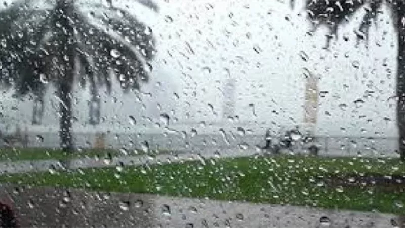 الأرصاد: طقس شتوي يصل إلى حد الصقيع