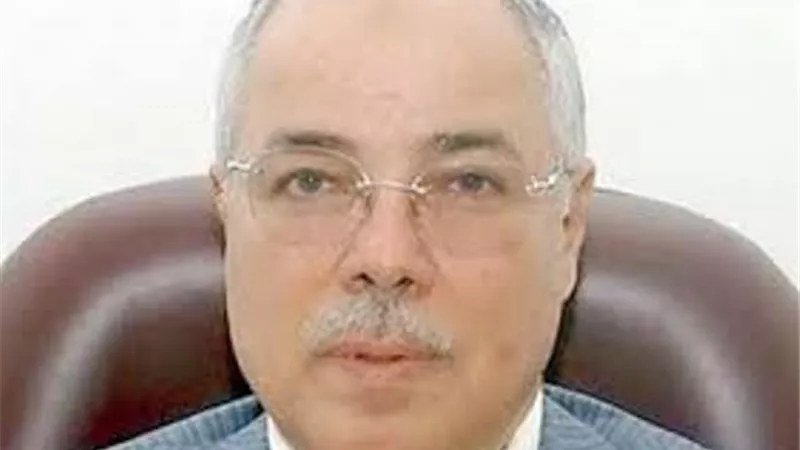 نصر الدين رئيسا لمجموعة الصداقة المصرية الأرمينية