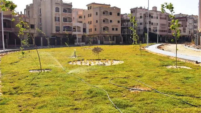 جهاز الشروق يكشف عن أكبر عمليات الزراعة الجديدة .. تعرف عليها بالأرقام والصور