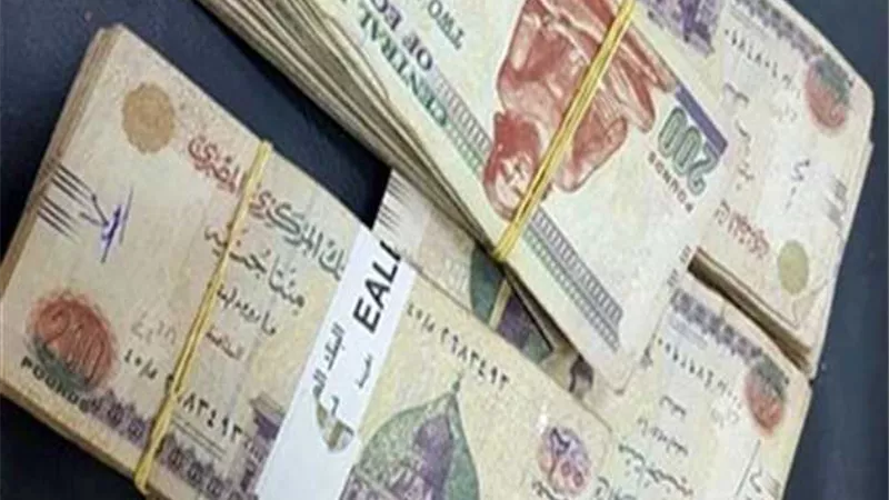 التضامن تزف بشرى سارة لأصحاب المعاشات بمناسبة العام الجديد