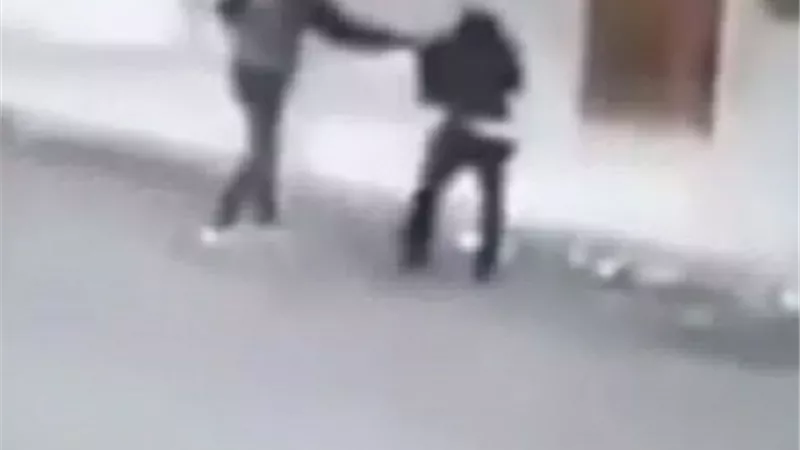 كلبان يحميان امرأة من السطو المسلح .. بالفيديو