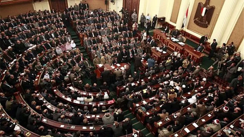 طاقة البرلمان تطالب بانشاء وحدة لحماية البيئة بجميع مؤسسات الدولة الحكومية والخاصة