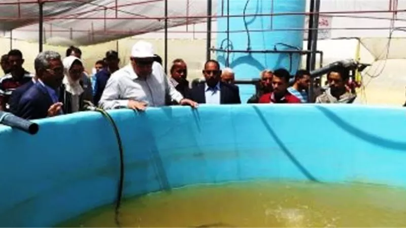 رئيس الداخلة يتفقد مشروع استزراع أسماك البورى والجمبرى بالوادى الجديد.. صور