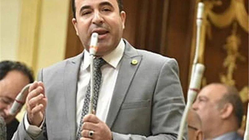 أحمد بدوي: أردوغان ينفذ مخططا فوضويا في ليبيا لنهب النفط وتقاسمه مع أمير قطر