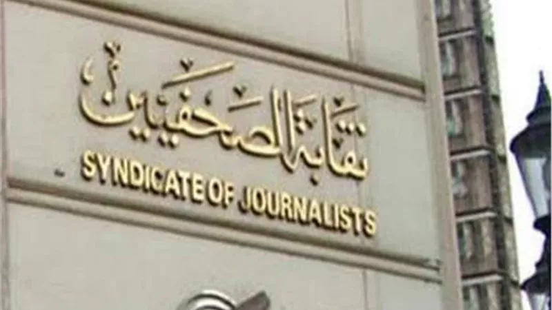 مقرر مشروع علاج الصحفيين: حل جذري لأزمات نسبة «الولادة»