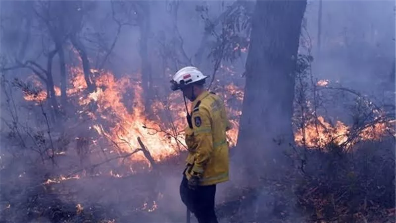 أستراليا تحث السياح على مغادرة السواحل الجنوبية بسبب حرائق الغابات