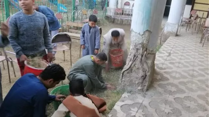 مركز شباب طفنيس بإسنا جنوب الأقصر آيل للسقوط