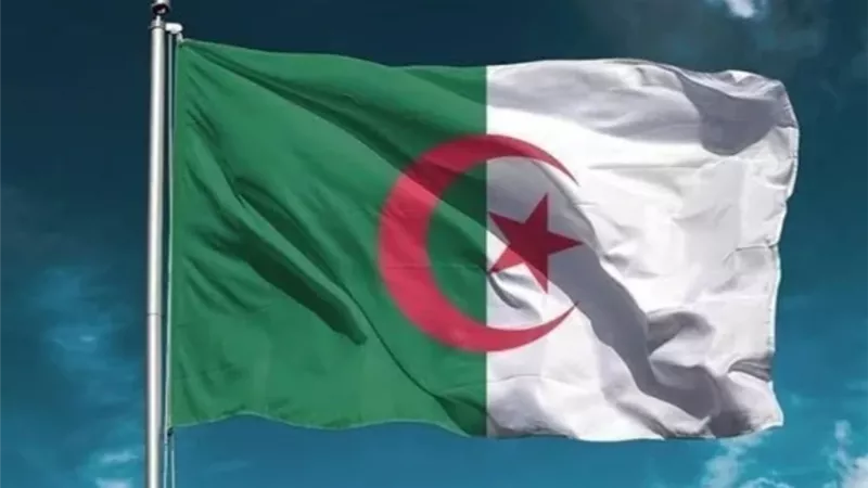 وزير الخارجية الجزائري : نرفض وجود اي قوة اجنبية على الاراضي الليبية ولغة المدفعية ليست الحل