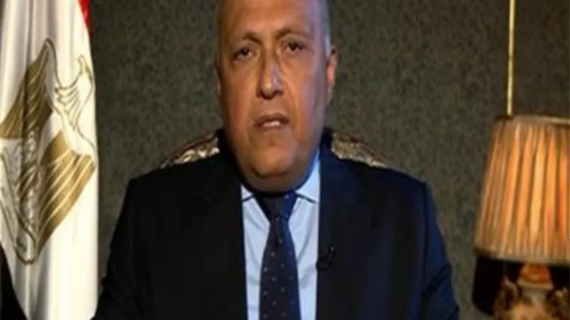 سامح شكري يبحث مع مستشار الأمن القومي الأمريكي اخر التطورات على الساحة الليبية ويدين قرار البرلمان التركي