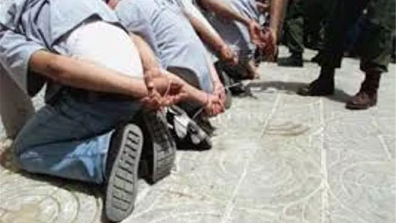 تفاصيل ضبط عصابة السطو المسلح على شركة شحن بضائع في الإسماعيلية .فيديو