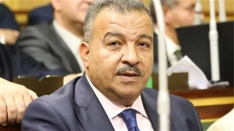 رئيس لجنة الصحة بالبرلمان : كلنا مع الرئيس لحماية الأمن القومي