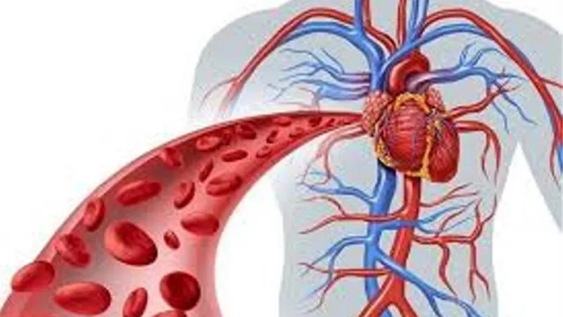 طرق طبيعية لتنشيط الدورة الدموية.. أهمها شرب الشاي
