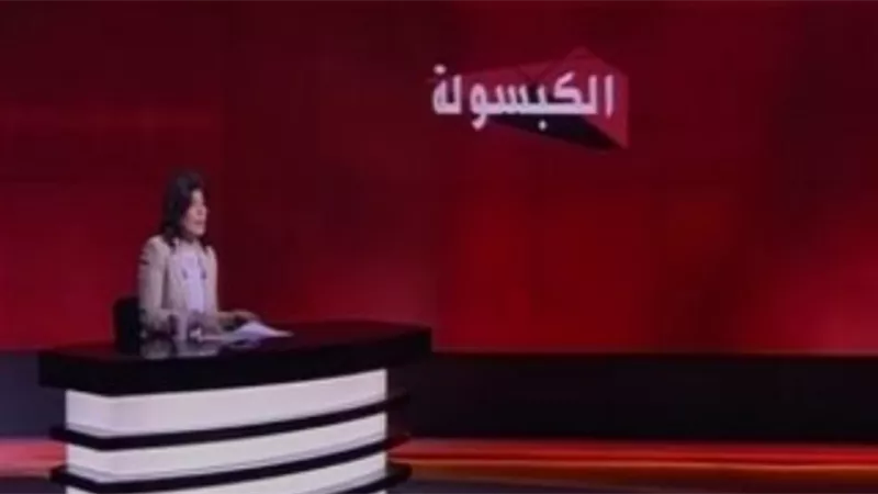 نائب مرشد الإخوان يعترف في تسجيل صوتي بلقاء كاتب يهودى أمريكى في ٢٠١١ ويؤكد : نقبل العولمة اذا وصلنا لحكم مصر