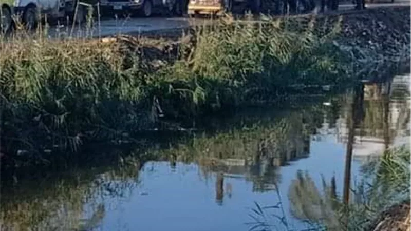 ننشر التشخيص الطبى لضحايا حادث حريق البحيرة