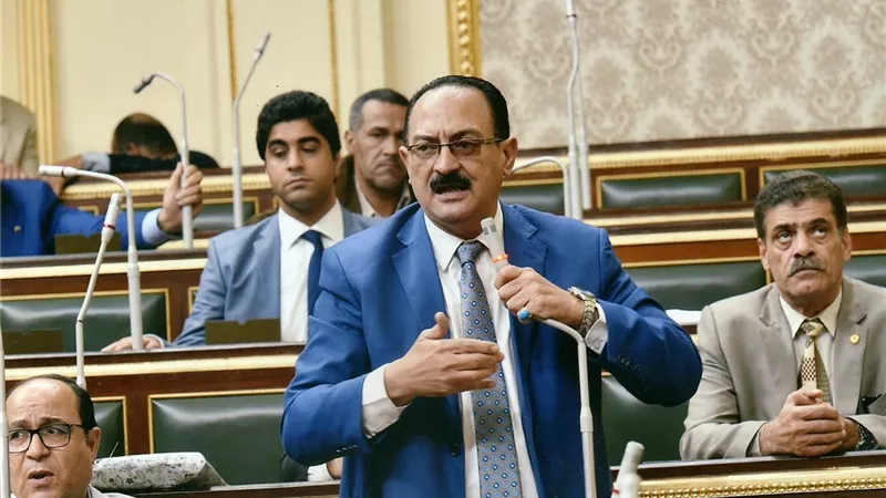لجنة الصحة تناقش طلب إحاطة عبد الواحد بعدم تحويل مستشفى قويسنا المركزى إلى عام