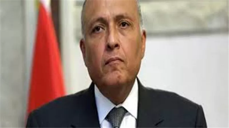الأربعاء.. وزراء خارجية مصر وقبرص واليونان وفرنسا وإيطاليا يبحثون الغزو التركى لليبيا