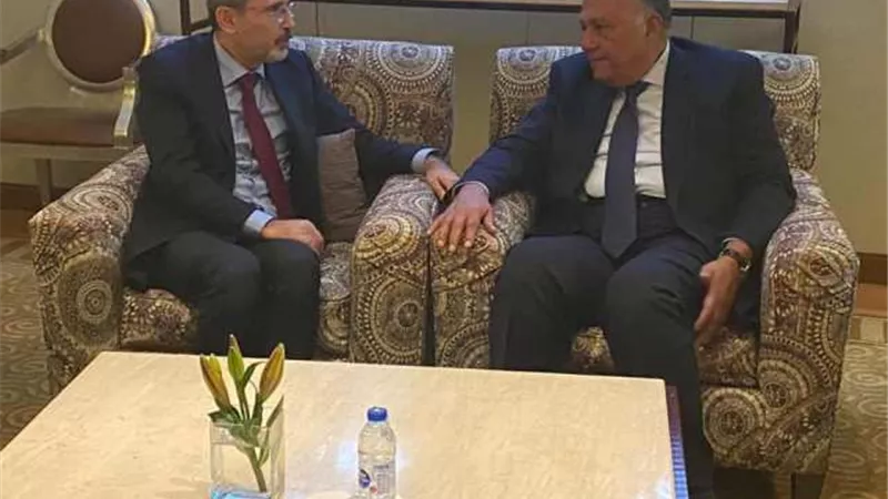 وزير الخارجية يلتقي نظيره الأردني