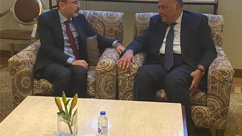 شكري يلتقي نظيره الاردني ويبحثان تطورات الاوضاع الاقليمية والقضايا محل الاهتمام المشترك
