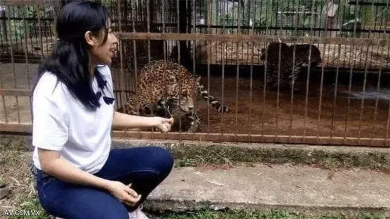 النمر يهاجم فتاة بسبب صورة 