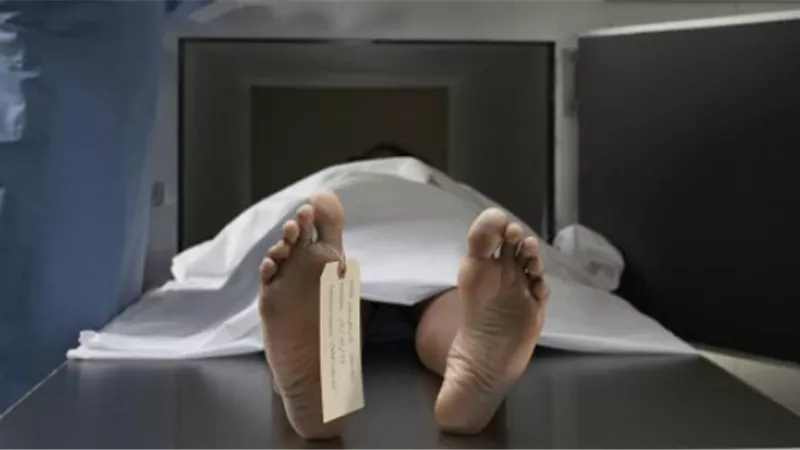 قال عليا كلام مش تمام .. تفاصيل مقتل سائق على يد زوجته وطليقها وعشيقها بالجيزة