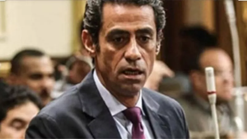 الجندى: مجلس عربى افريقى بالبحر الاحمر وخليج عدن لمنع التدخل الخارجى بالمنطقة
