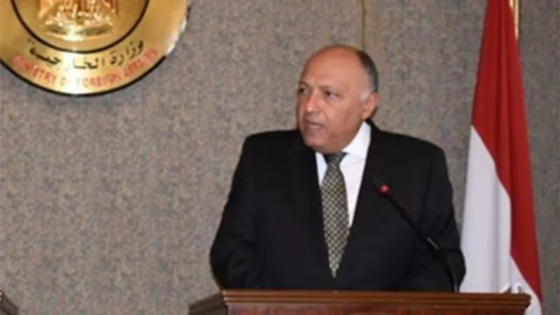 سامح شكري: نعمل على تدعيم وتنمية التعاون بين مصر والصين في كافة المجالات