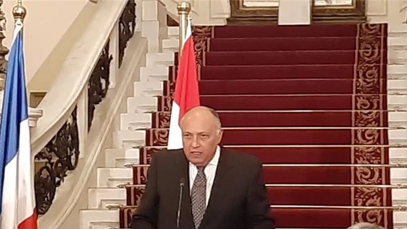 شكري : الصراعات الإقليمية لم تجد حلا جذريا بالوسائل العسكرية ويجب ان تتفاوض القوى الشرعية على الحلول السياسية