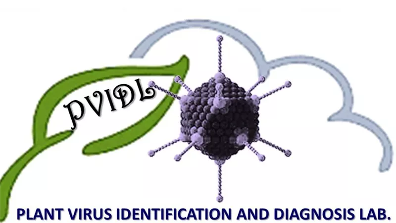 حصول معمل تشخيص وتعريف فيروسات النبات على شهادة الاعتماد والجودة ISO/IEC- 17025:2017