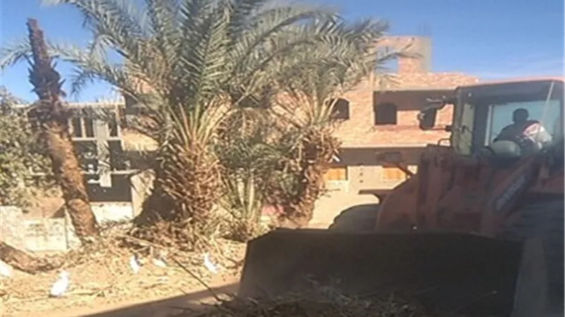 رفع 80 طن مخلفات بقرية الروافعة بالبياضية جنوب الأقصر