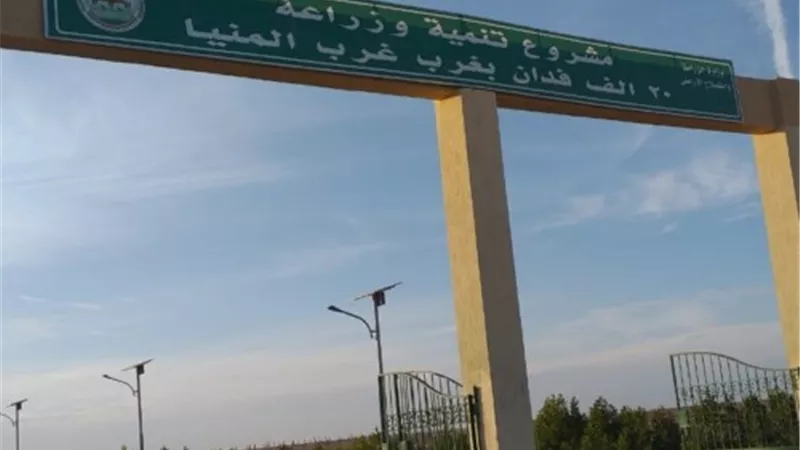 زراعة 3000 فدان بنجر و 1000 قمح بمشروع غرب المنيا