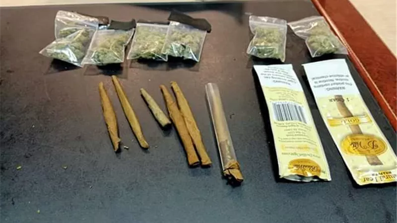 ضبط محاولتي تهريب طائرة تجسس وكمية من مخدر الماريجوانا مع راكبين قادمين من أمريكا