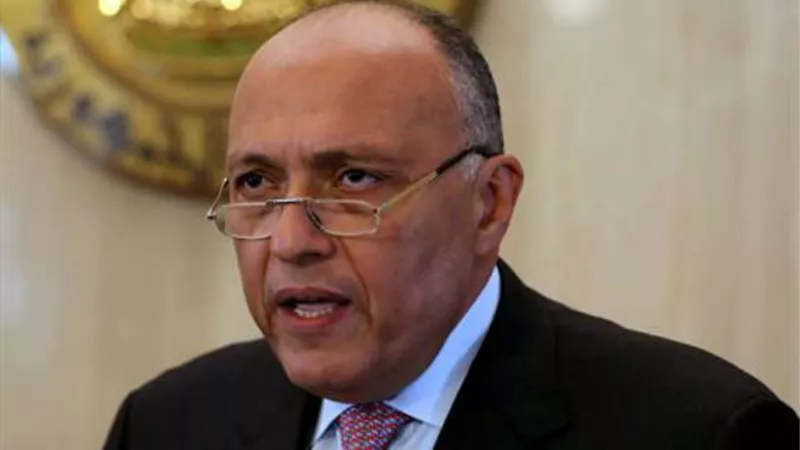 سامح شكري يعود من الجزائر