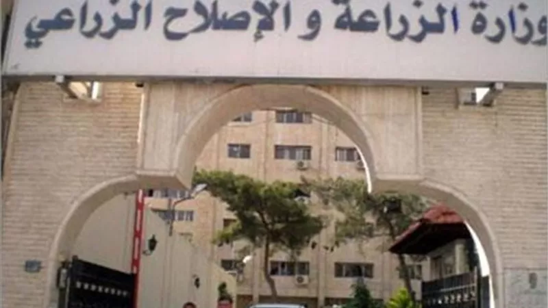 الزراعة تعلن توفير رؤوس ماشية مستوردة لمساعدة صغار المربين