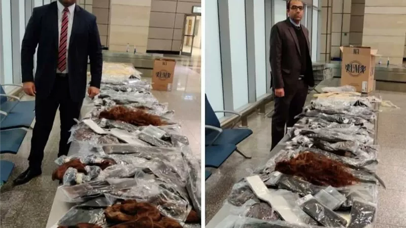 ضبط 30 كيلو من الشعر الطبيعي مع راكب صيني بمطار القاهرة