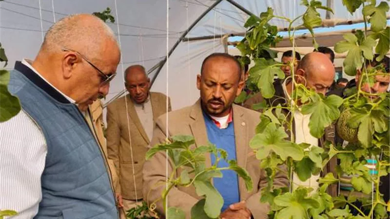 الصوب الزراعية استثمار لجهود الشباب وتحقيق للكفاءة الإنتاجية بالوادى الجديد.صور