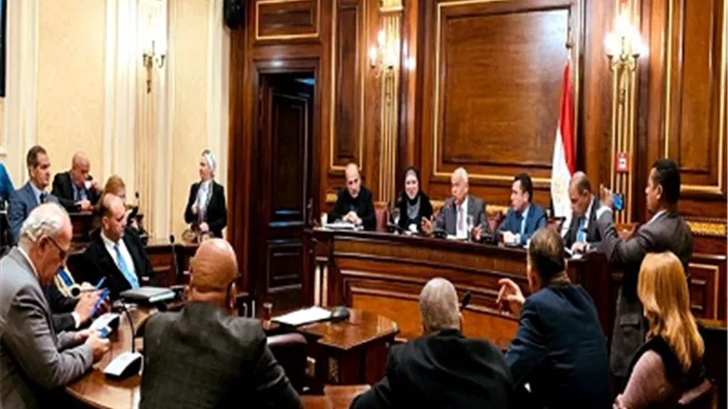 وزيرة التجارة تستعرض استراتيجية الوزارة مع أعضاء لجنة الصناعة بمجلس النواب
