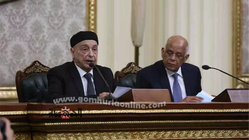 رئيس مجلس النواب: مصر لا تقدم الحلول العسكرية على الحلول السياسية
