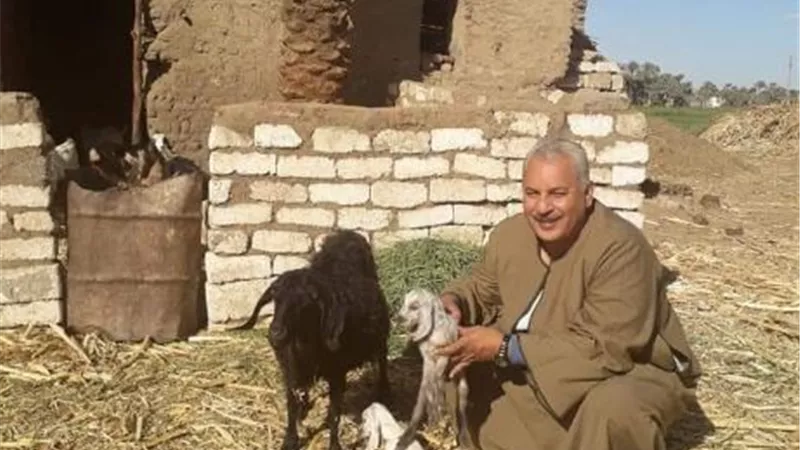نقيب الفلاحين يطالب بالاهتمام بتربية الظفر الرفيع