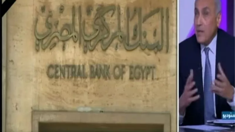 بالفيديو.. نائب محافظ البنك المركزي: قدمنا 3 مبادرات للقطاع السياحي مؤخرا