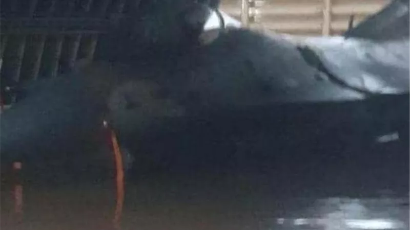 الأمطار 