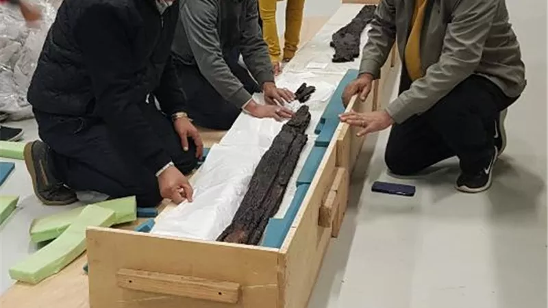 المتحف المصري الكبير يستقبل ٢٠٢ قطعة اثرية.