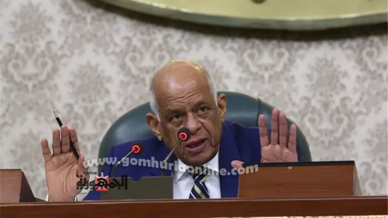 عبدالعال ينتقد غياب الوزراء عن المشاركة فى الجلسات.. وكمال احمد: استهانة بالمجلس وبمقدرات الوطن